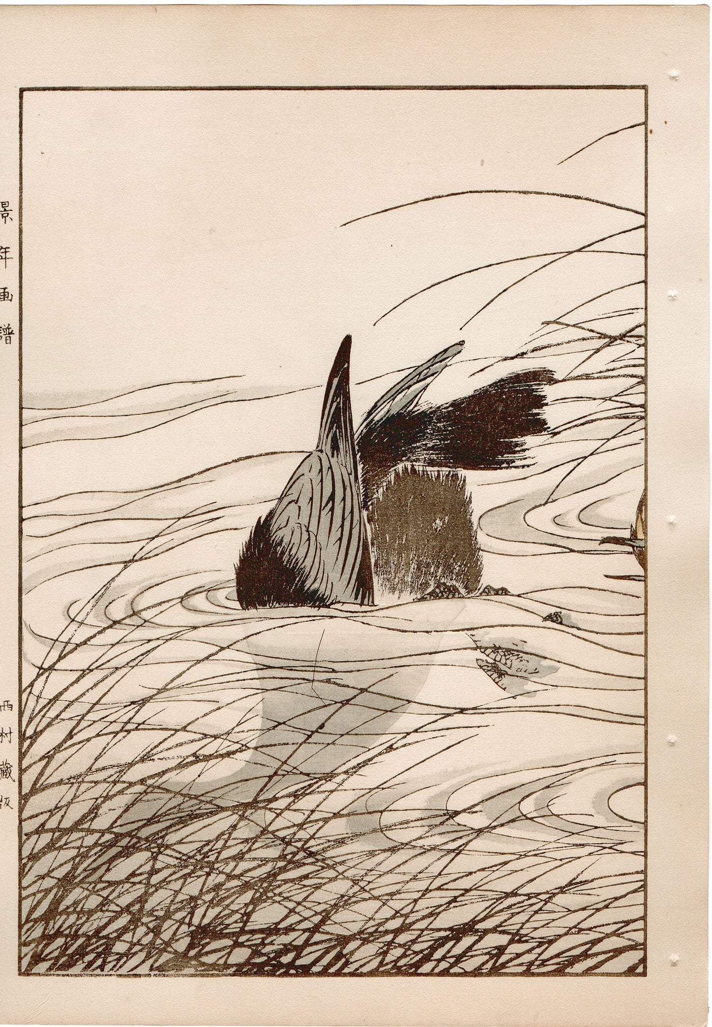 Japanese Antique Original Woodcut Print, 1892, Imao Keinen, "Clematis ternifora, Thatch, cormorant"