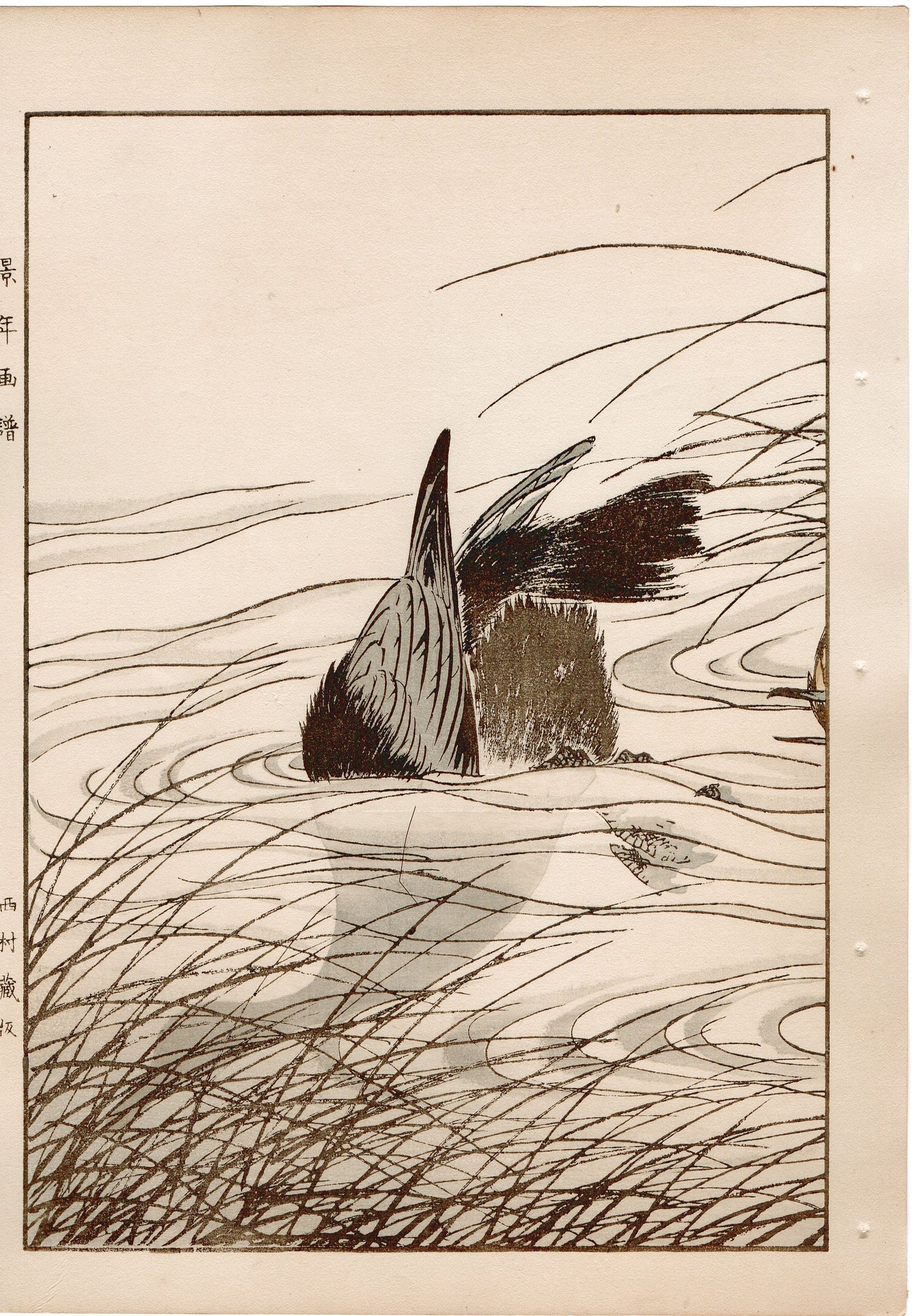 Japanese Antique Original Woodcut Print, 1892, Imao Keinen, "Clematis ternifora, Thatch, cormorant"