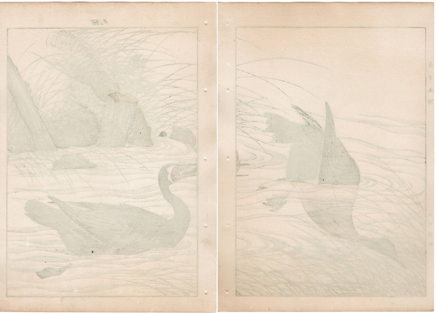 Japanese Antique Original Woodcut Print, 1892, Imao Keinen, "Clematis ternifora, Thatch, cormorant"
