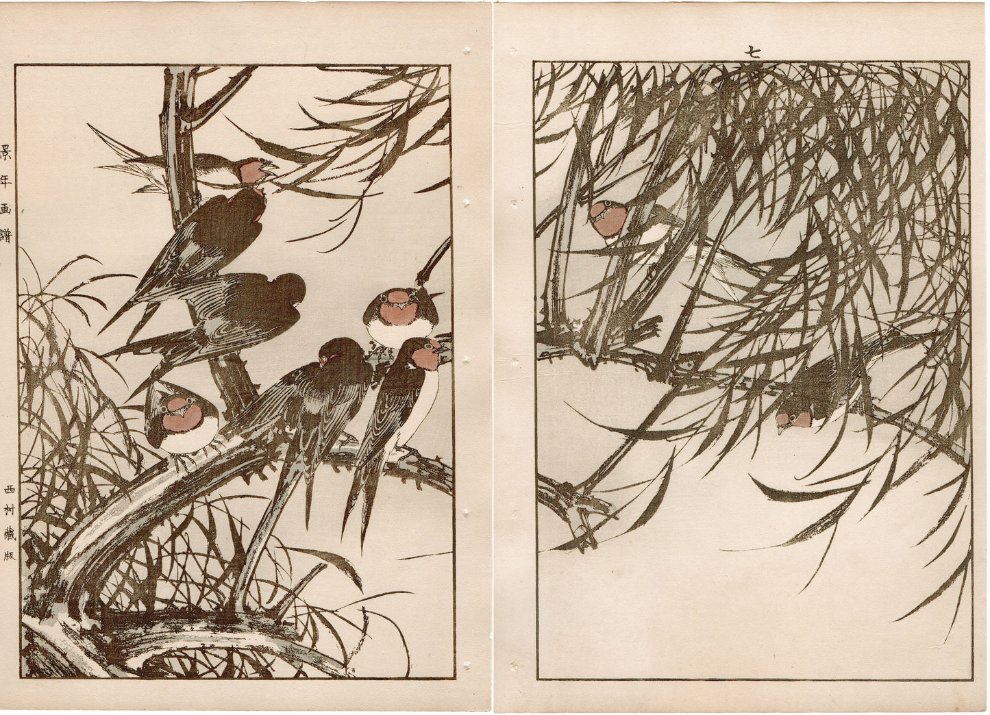 Japanese Antique Original Woodcut Print, 1892, Imao Keinen, "Willow, Swallow "