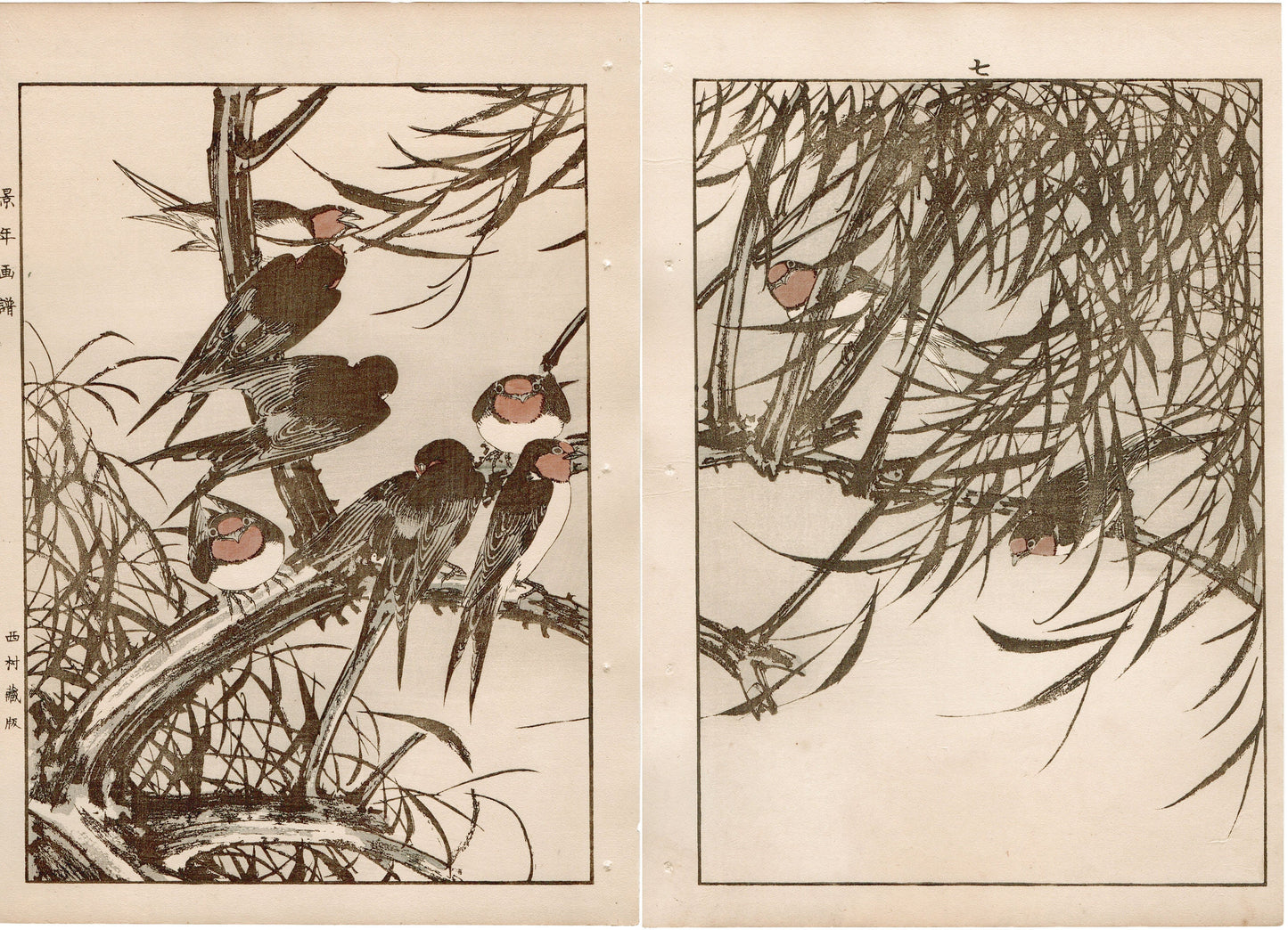 Japanese Antique Original Woodcut Print, 1892, Imao Keinen, "Willow, Swallow "