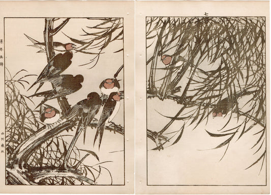 Japanese Antique Original Woodcut Print, 1892, Imao Keinen, "Willow, Swallow "