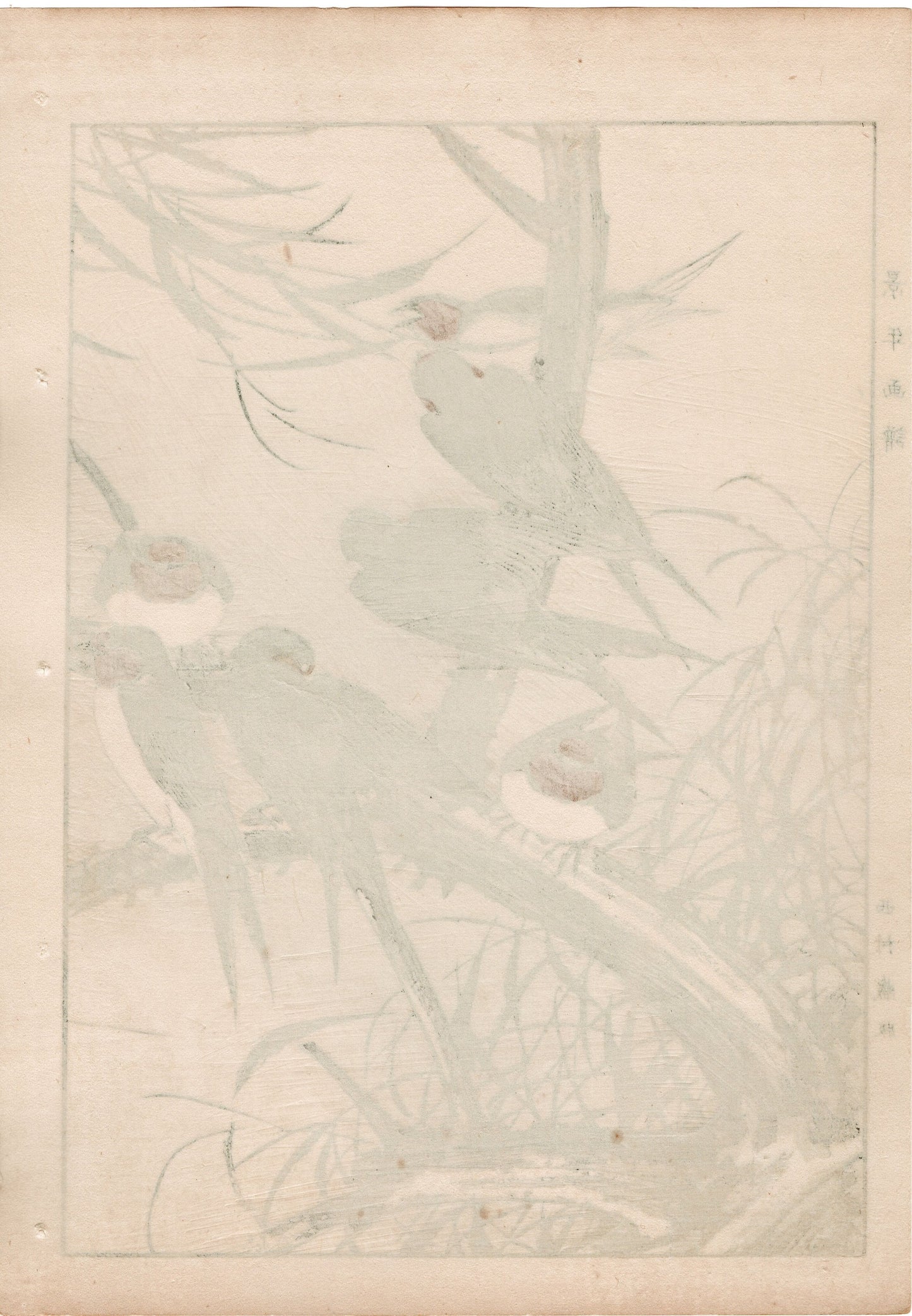 Japanese Antique Original Woodcut Print, 1892, Imao Keinen, "Willow, Swallow "