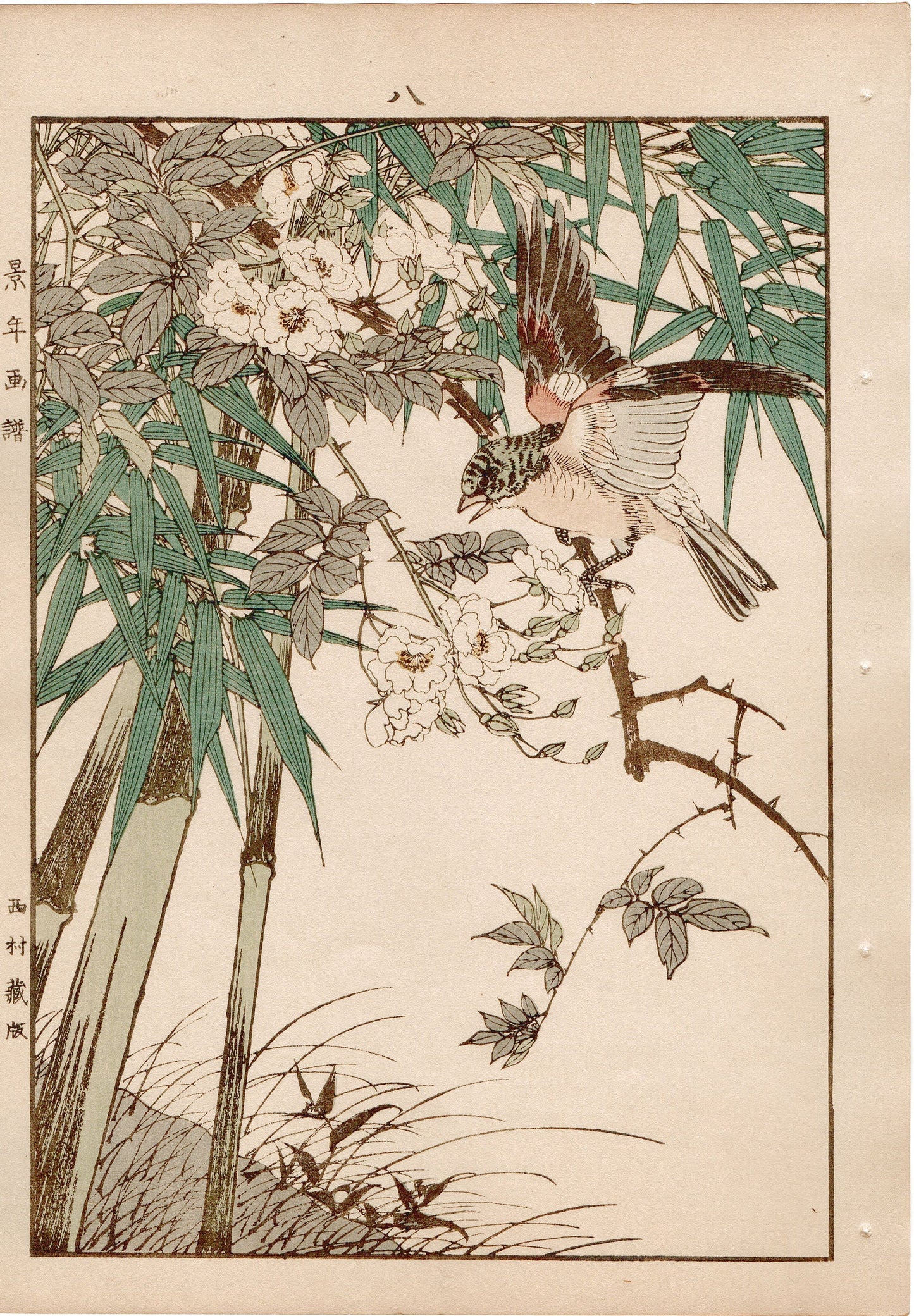 Japanese Antique Original Woodcut Print, 1892, Imao Keinen, " Japanese rose (Noibara), Shinobedake, Finch (Atori) "