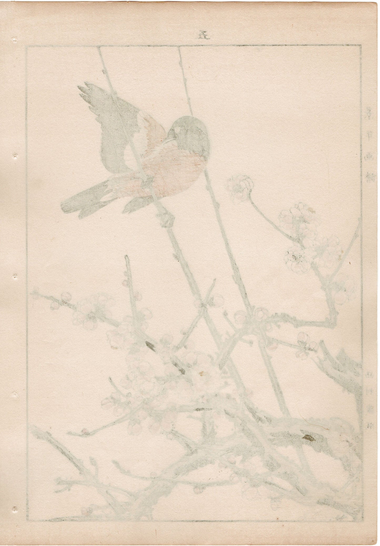 Japanese Antique Original Woodcut Print, 1892, Imao Keinen, " Koubai, Flycatcher (Hitaki) "