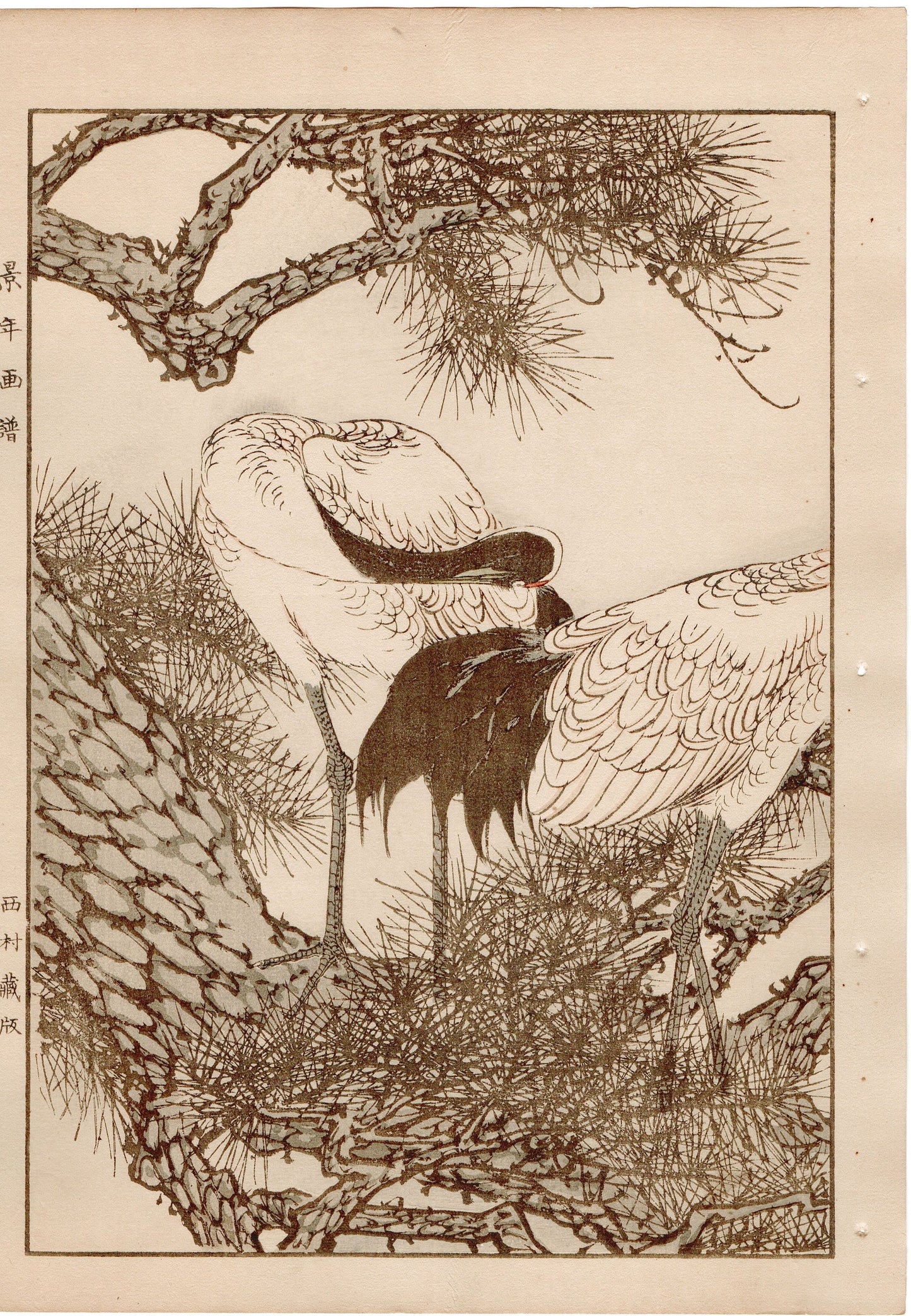 Japanese Antique Original Woodcut Print, 1892, Imao Keinen, "Old pine tree, Japanese crane"