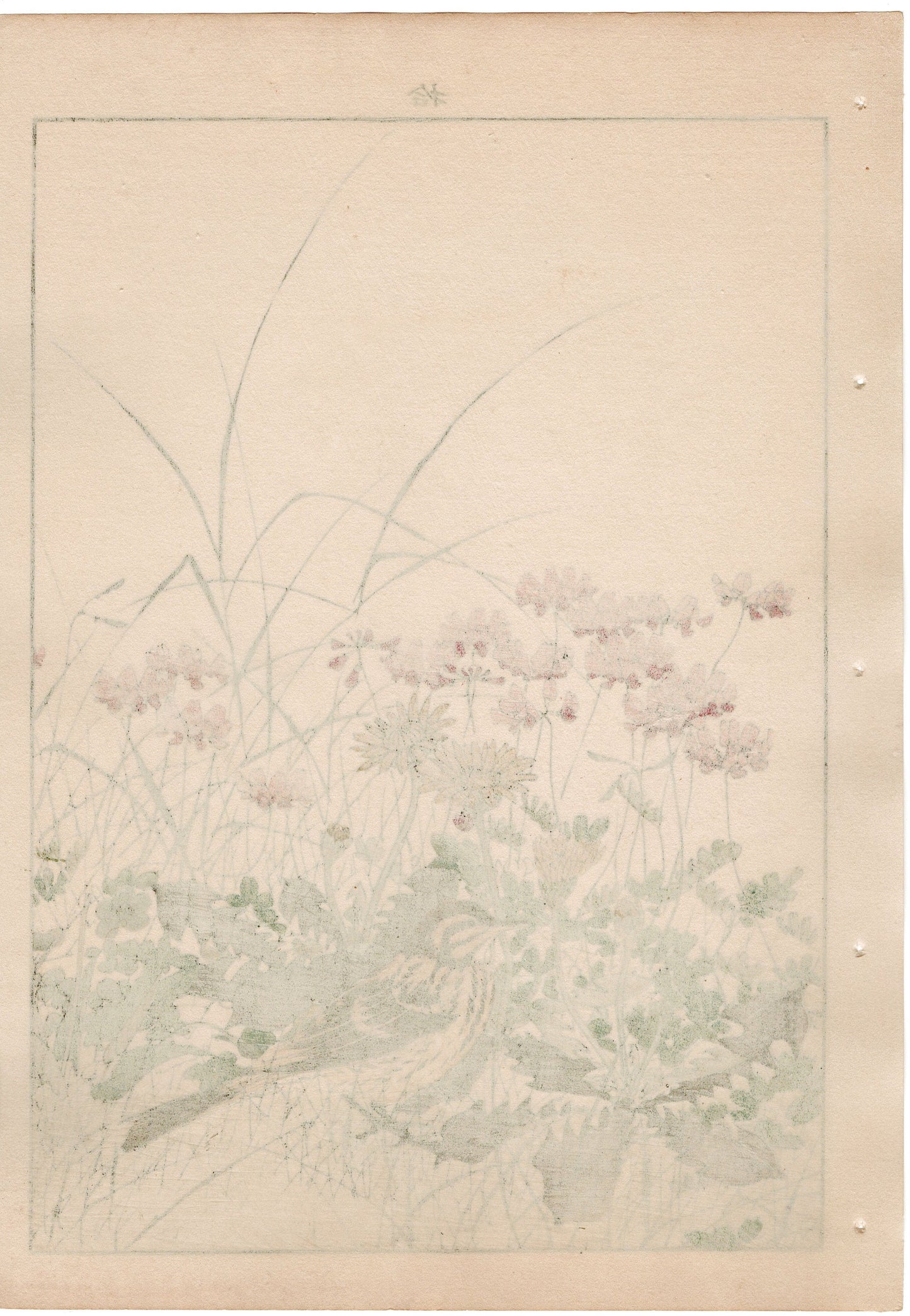 Japanese Antique Original Woodcut Print, 1892, Imao Keinen, " Chinese milk vetch, Violet, Dandelion, Horsetail, Lark ,Olive-backed Pipit "
