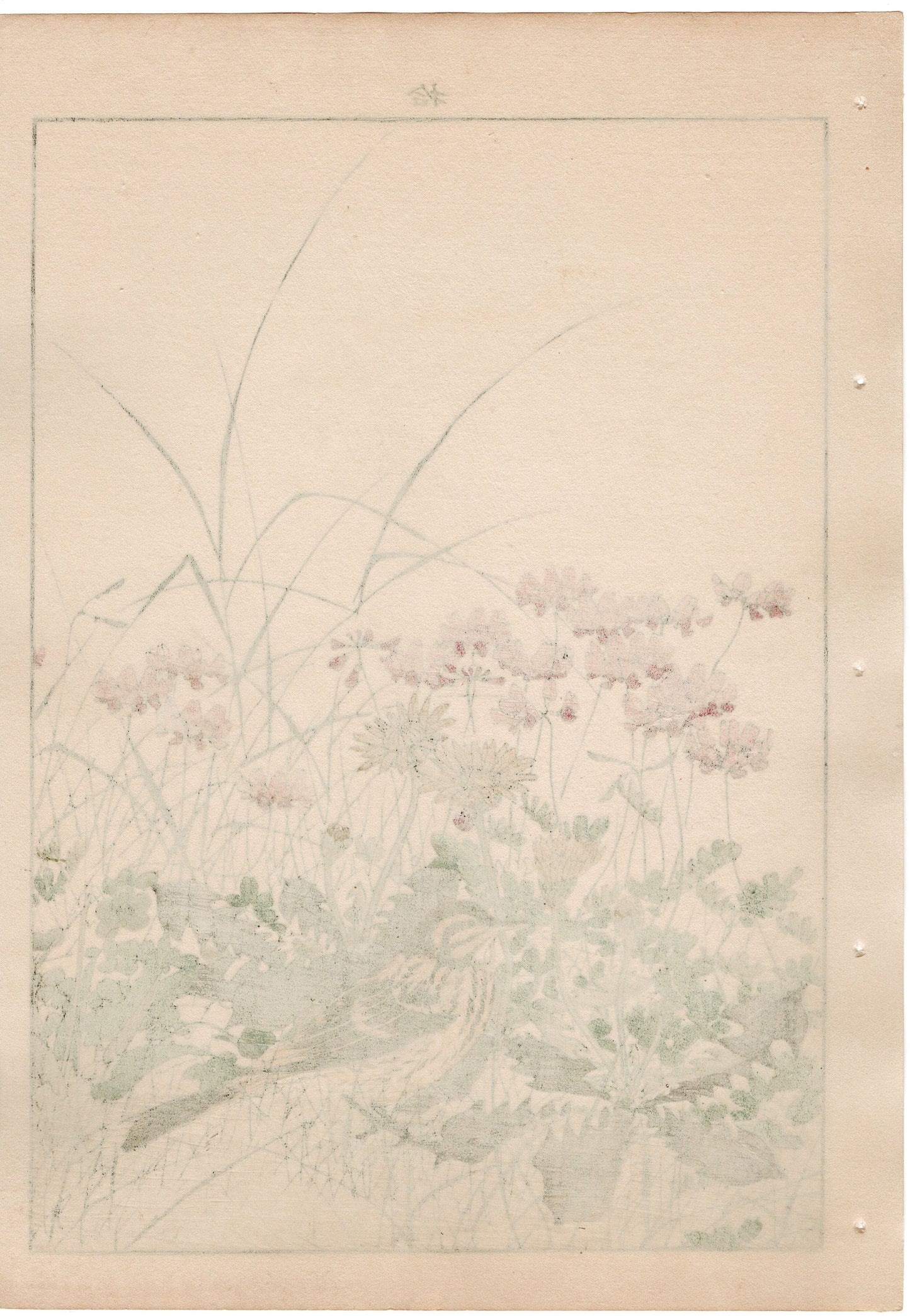 Japanese Antique Original Woodcut Print, 1892, Imao Keinen, " Chinese milk vetch, Violet, Dandelion, Horsetail, Lark ,Olive-backed Pipit "