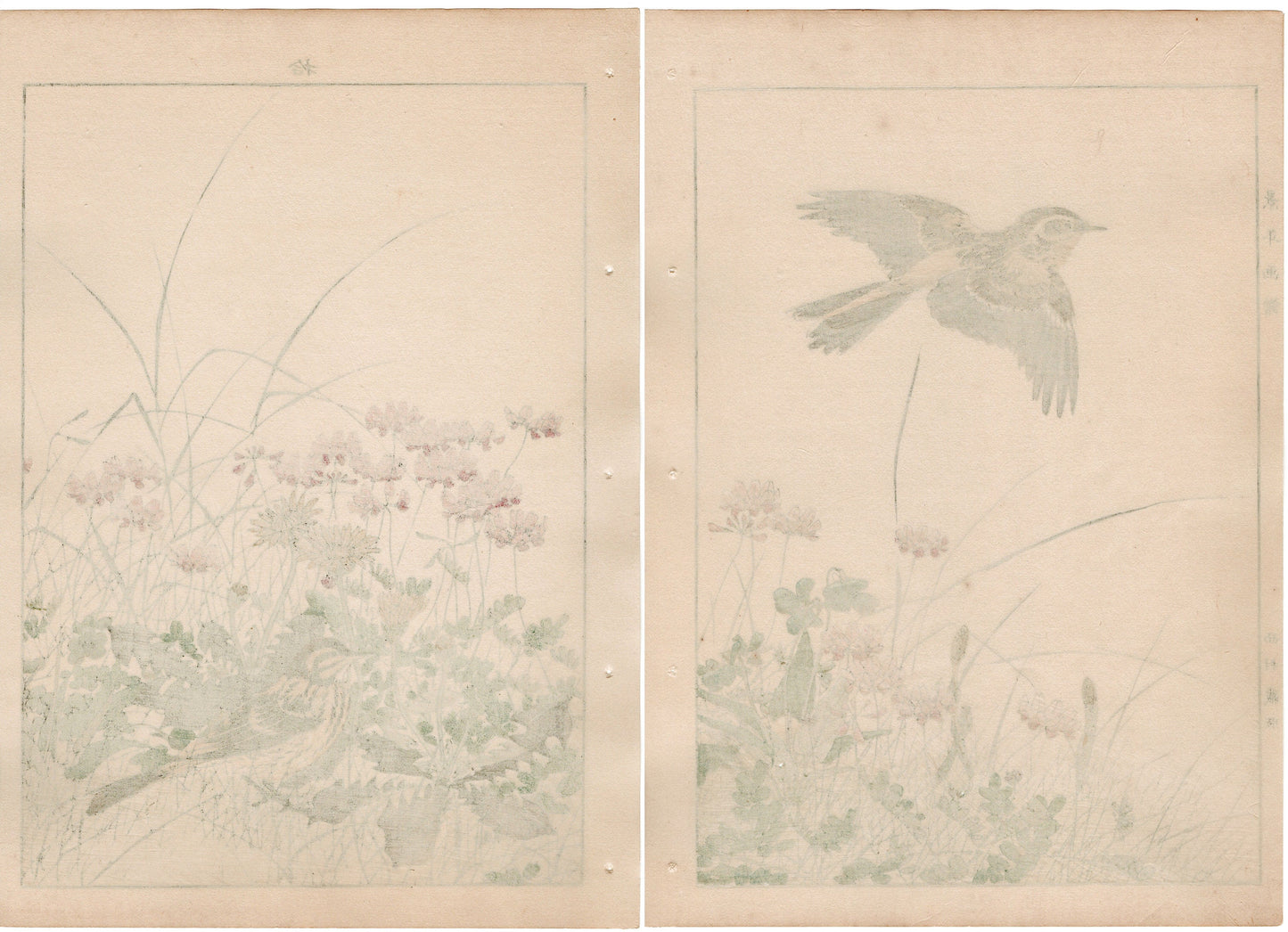 Japanese Antique Original Woodcut Print, 1892, Imao Keinen, " Chinese milk vetch, Violet, Dandelion, Horsetail, Lark ,Olive-backed Pipit "