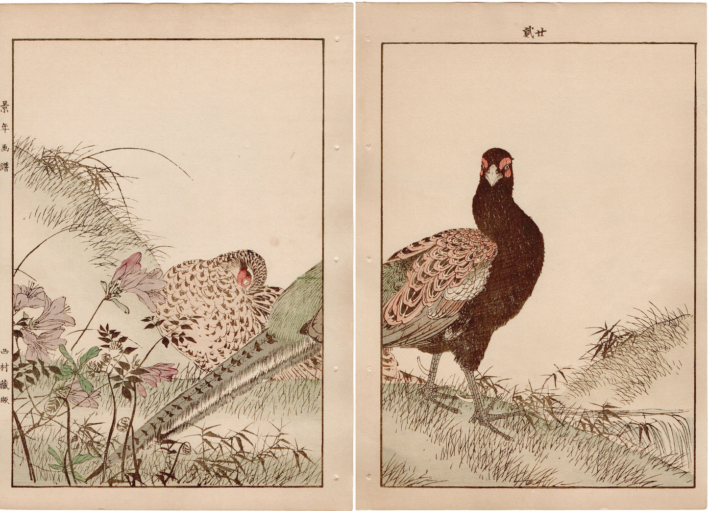 Japanese Antique Original Woodcut Print, 1892, Imao Keinen, " Azalea (Tsutsuji), Zenmai, Pheasant (Kiji) "