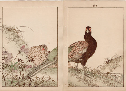 Japanese Antique Original Woodcut Print, 1892, Imao Keinen, " Azalea (Tsutsuji), Zenmai, Pheasant (Kiji) "