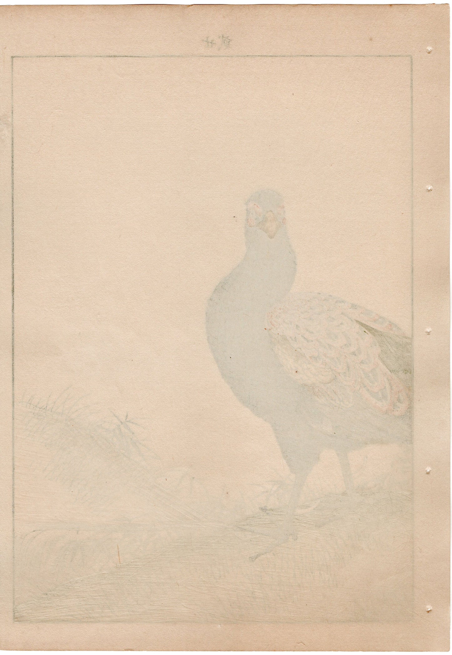 Japanese Antique Original Woodcut Print, 1892, Imao Keinen, " Azalea (Tsutsuji), Zenmai, Pheasant (Kiji) "
