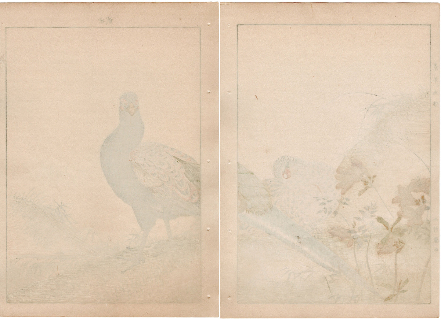 Japanese Antique Original Woodcut Print, 1892, Imao Keinen, " Azalea (Tsutsuji), Zenmai, Pheasant (Kiji) "
