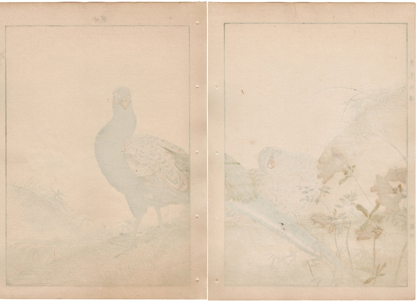 Japanese Antique Original Woodcut Print, 1892, Imao Keinen, " Azalea (Tsutsuji), Zenmai, Pheasant (Kiji) "
