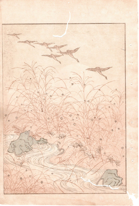 Japanese Antique Original Woodcut Print, Japanese design, Around 1900, Bijutsukai 2, Antique Japanese print, Kimono Design.