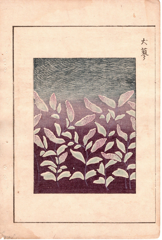 Japanese Antique Original Woodcut Print, Japanese design, Around 1900, Bijutsukai 3, Antique Japanese print, Kimono Design.