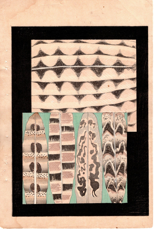 Japanese Antique Original Woodcut Print, Japanese design, Around 1900, Bijutsukai 3, Antique Japanese print, Kimono Design.