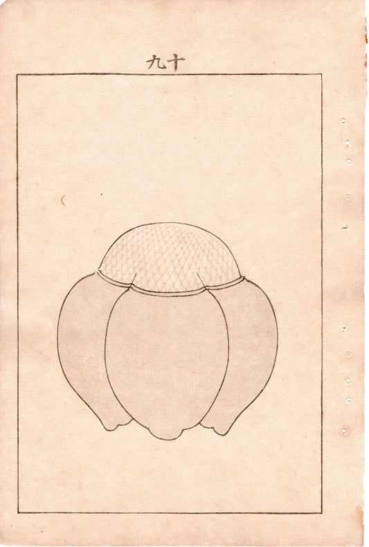 Japanese Antique Original Woodcut Print, Japanese design, Around 1900, Bijutsukai 4, Antique Japanese print, Kimono Design.