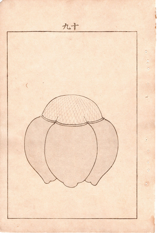 Japanese Antique Original Woodcut Print, Japanese design, Around 1900, Bijutsukai 4, Antique Japanese print, Kimono Design.