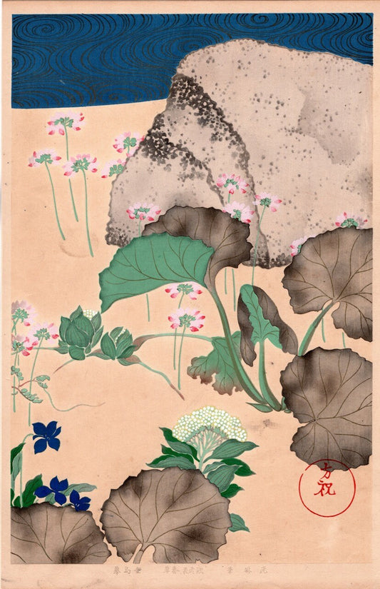 Japanese design, antique, woodcut print, 1931, Ogata Korin, "Album of Hundred Flowers by Artists of Rinpa School"