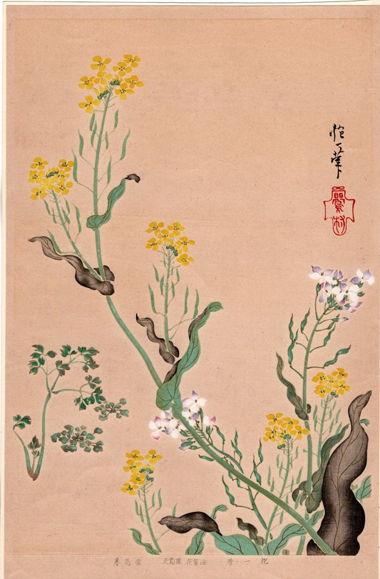 Japanese design, antique, woodcut print, 1931, Sakai Hoitsu, "Album of Hundred Flowers by Artists of Rinpa School"