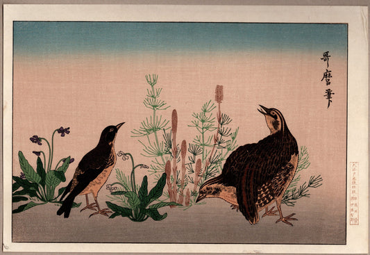 Japanese woodblock print, Utamaro, "Quail  and Skylark"