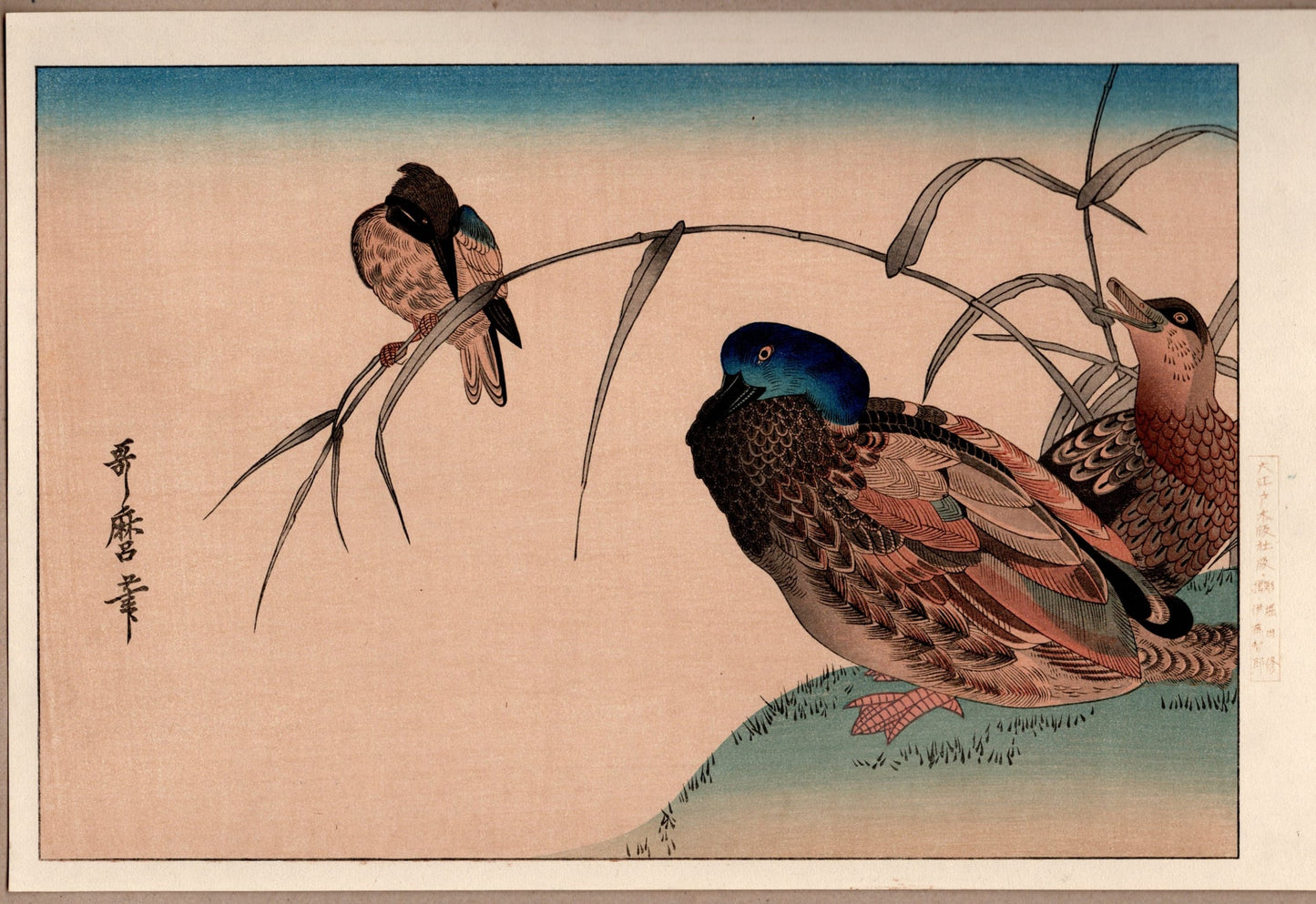 Japanese Ukiyoe, woodcut print, Utamaro, "Mallards and a Kingfisher"