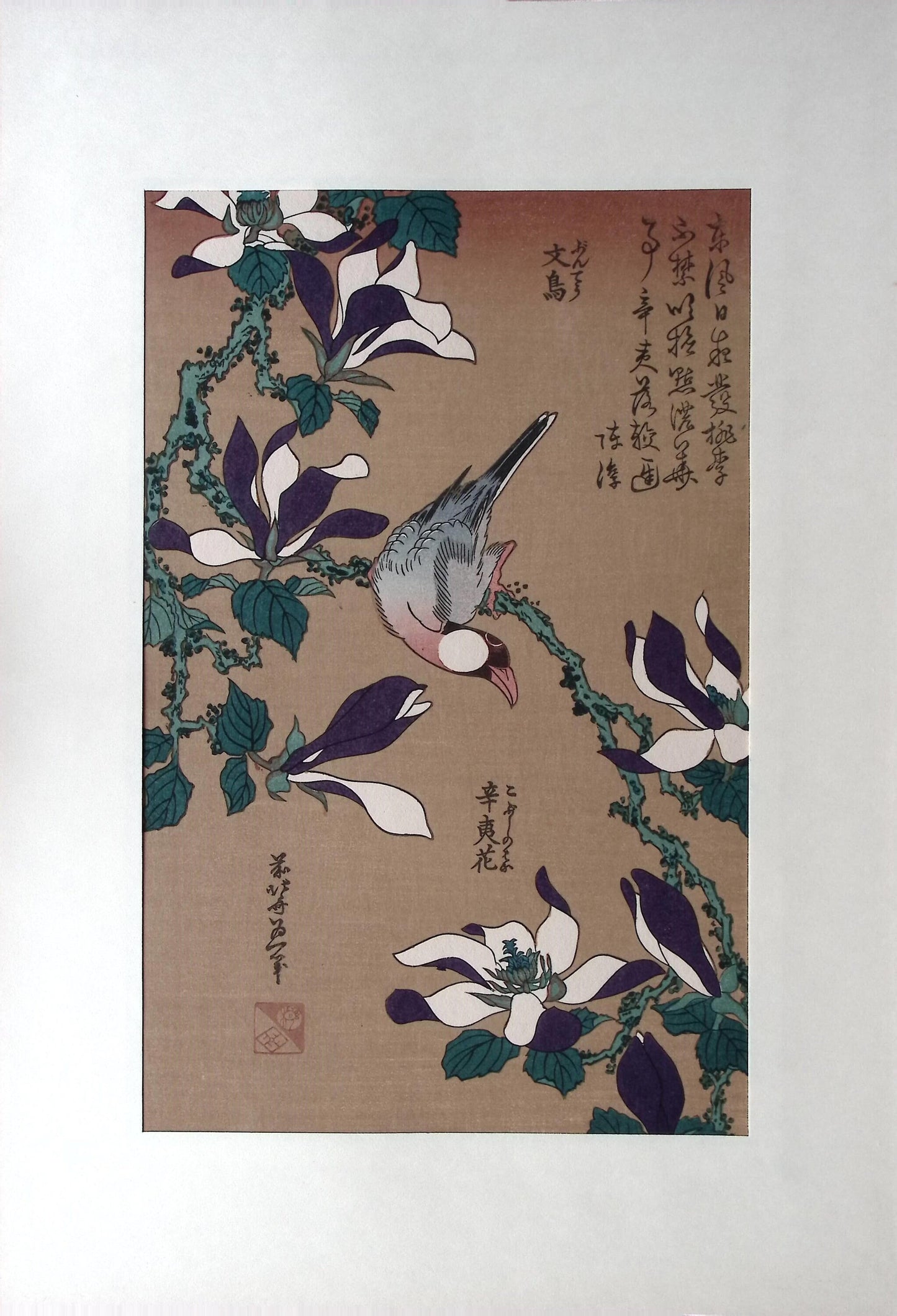 Japanese Ukiyo-e, Woodcut print, Hokusai, "Java Sparrow on Magnolia "