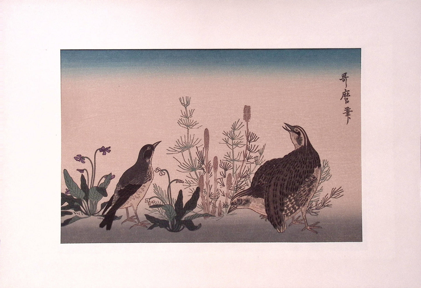 Japanese woodblock print, Utamaro, "Quail  and Skylark"