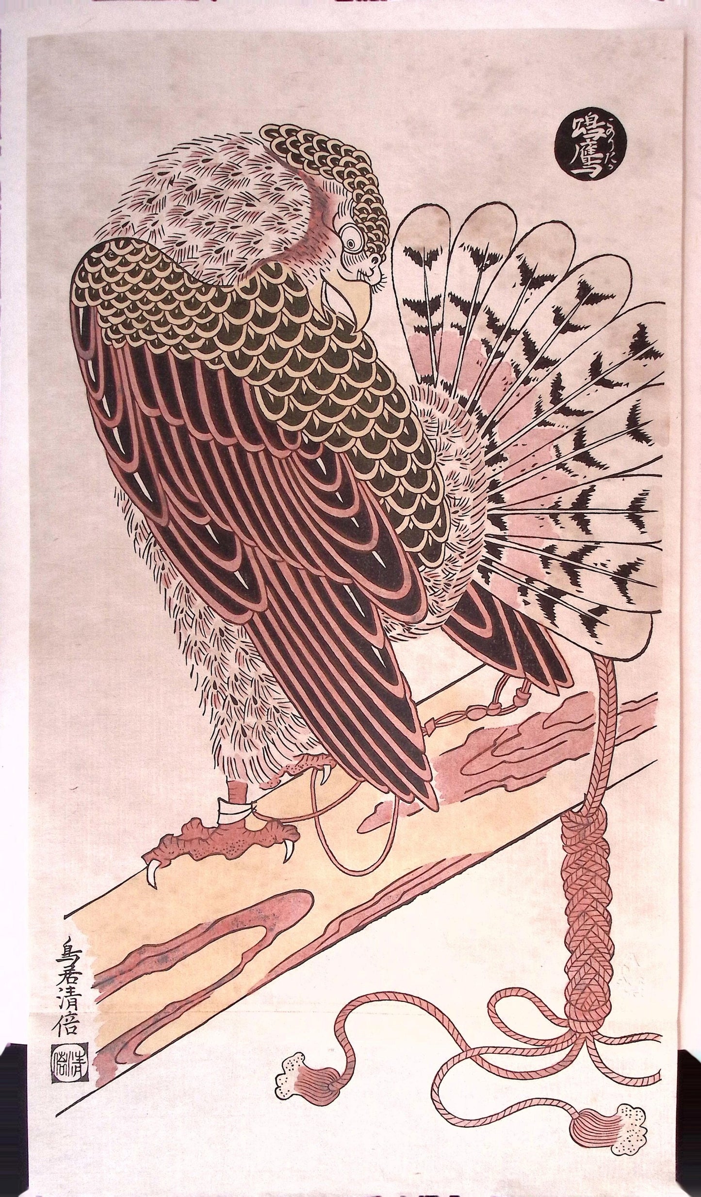 Japanese Ukiyoe, woodcut print, Torii Kiyomasu, "A Male Hawk"