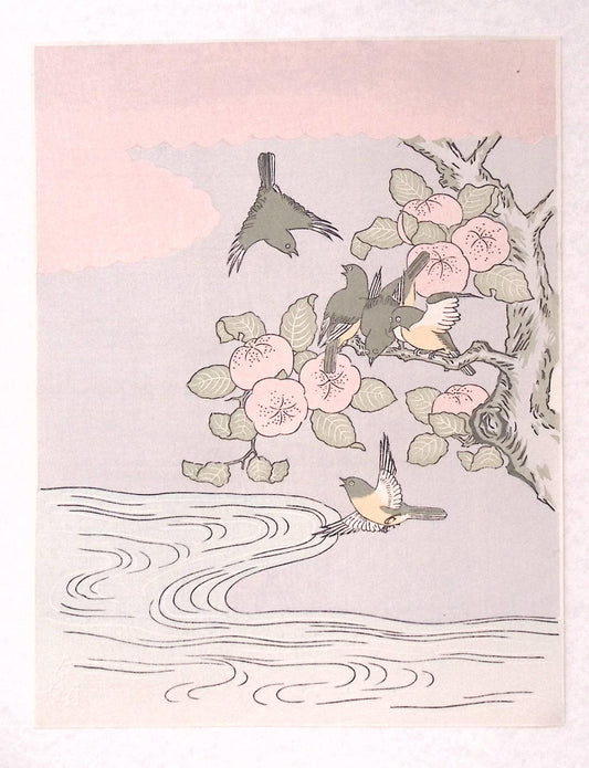 Japanese Ukiyoe, woodcut print, Suzuki Harunobu, "tachibana orange and Japanese White-eye"