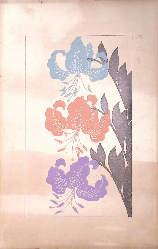 Japanese design, antique, woodcut print, 1932,  Kawarazaki Kodo, star lily.