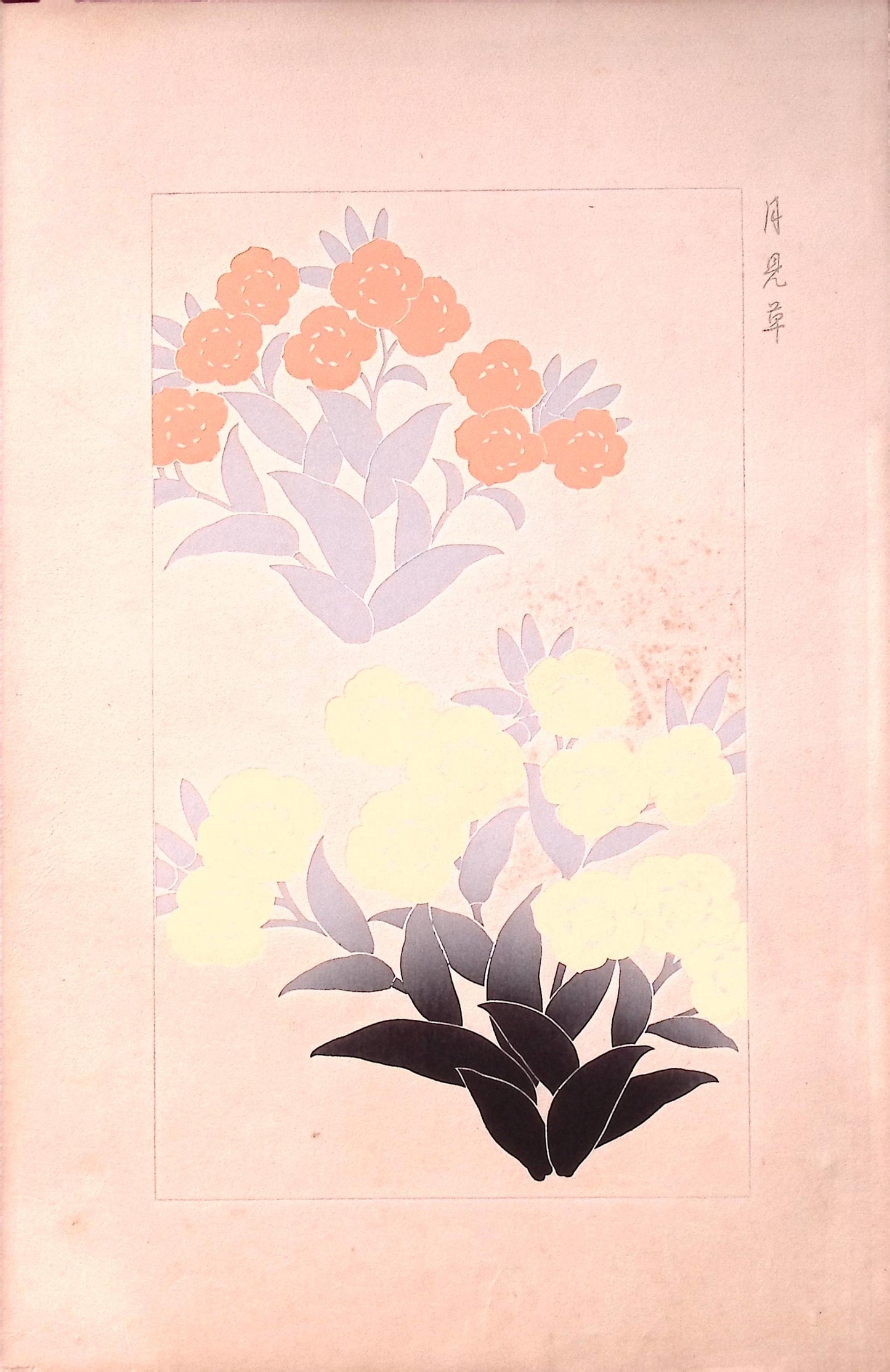 Japanese design, antique, woodcut print, 1932,  Kawarazaki Kodo, " Evening primrose"