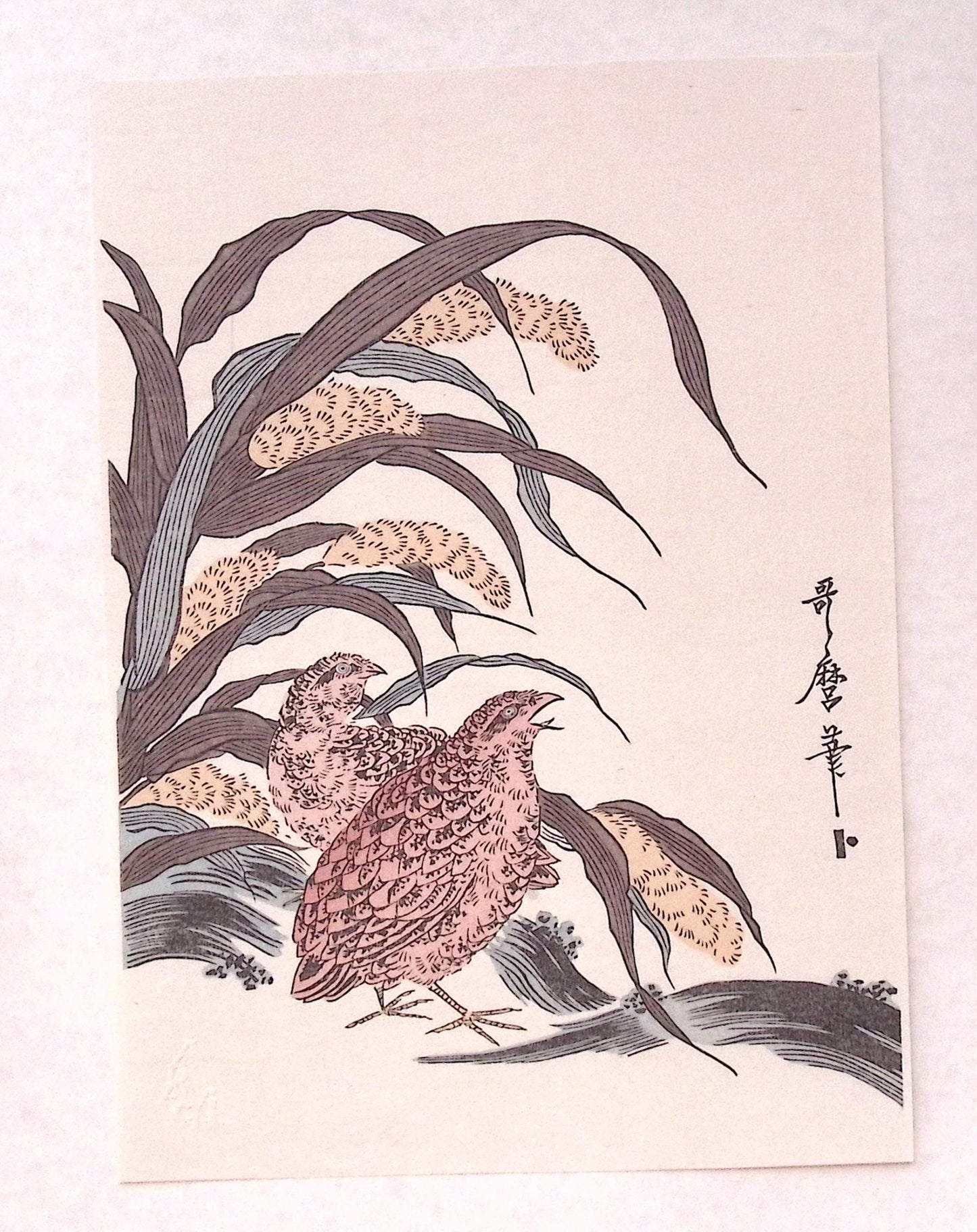 Japanese Ukiyoe, woodcut print, Utamaro, "millet and quail"
