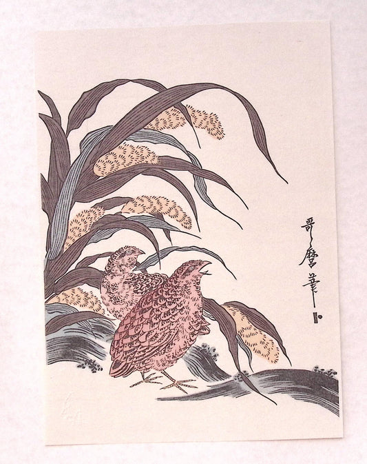 Japanese Ukiyoe, woodcut print, Utamaro, "millet and quail"