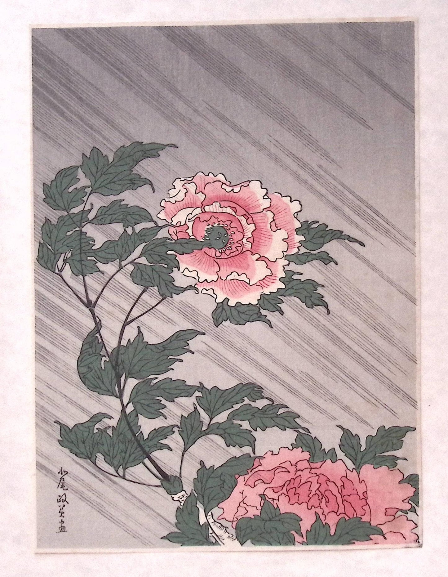 Japanese Ukiyoe, woodcut print, Kitao Masayoshi, "Peonies in Rain"