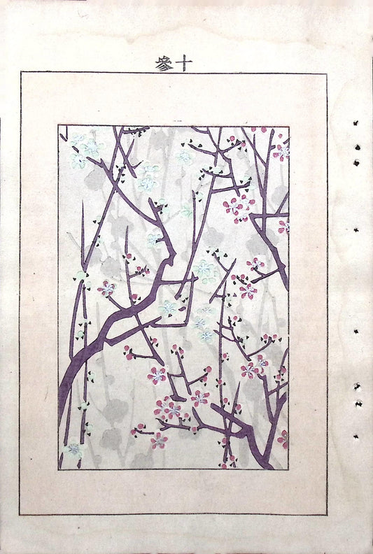Japanese Antique Original Woodcut Print, Japanese design, Around 1900, Bijutsukai 6, Antique Japanese print, Kimono Design.