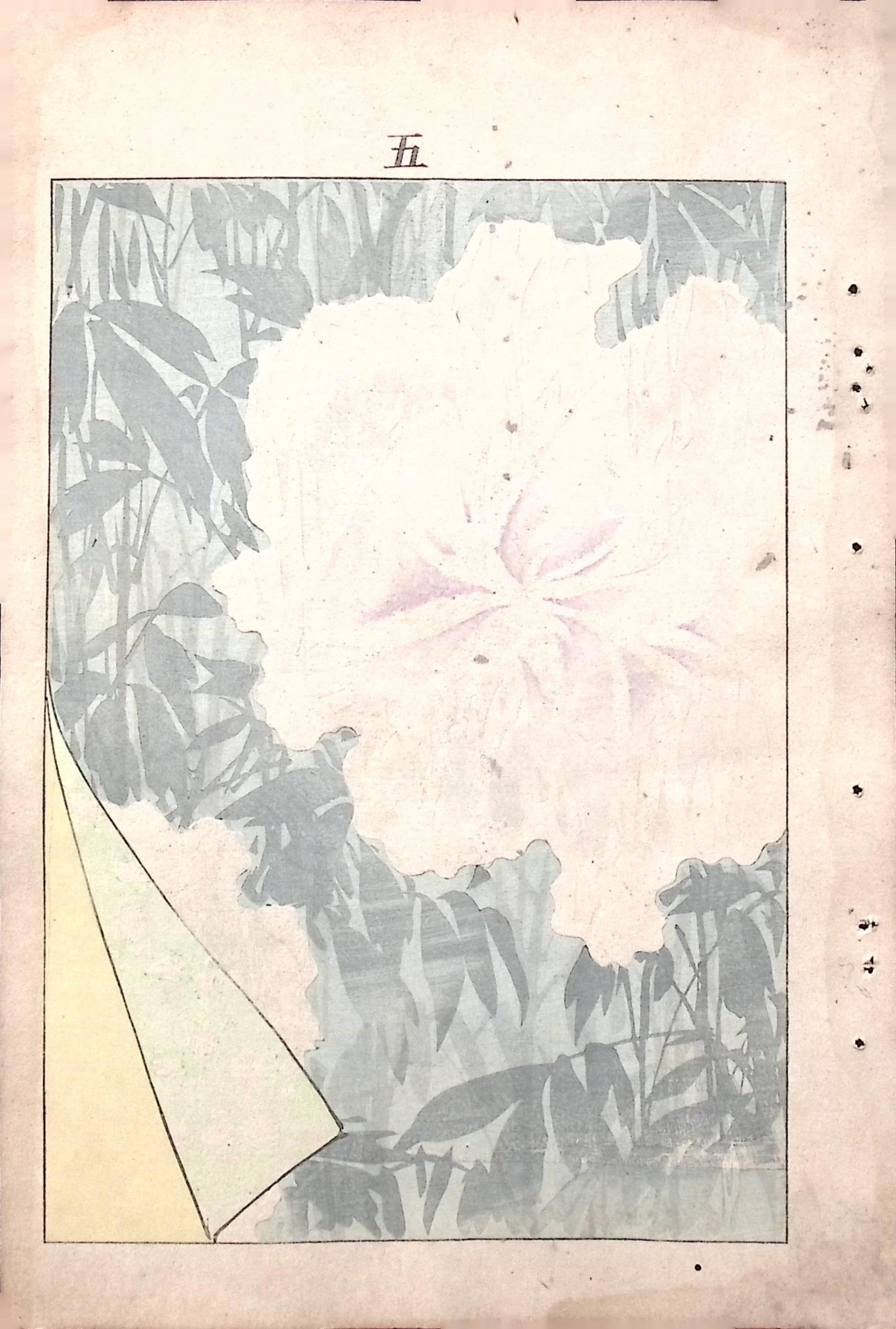 Japanese Antique Original Woodcut Print, Japanese design, Around 1900, Bijutsukai 6, Antique Japanese print, Kimono Design.
