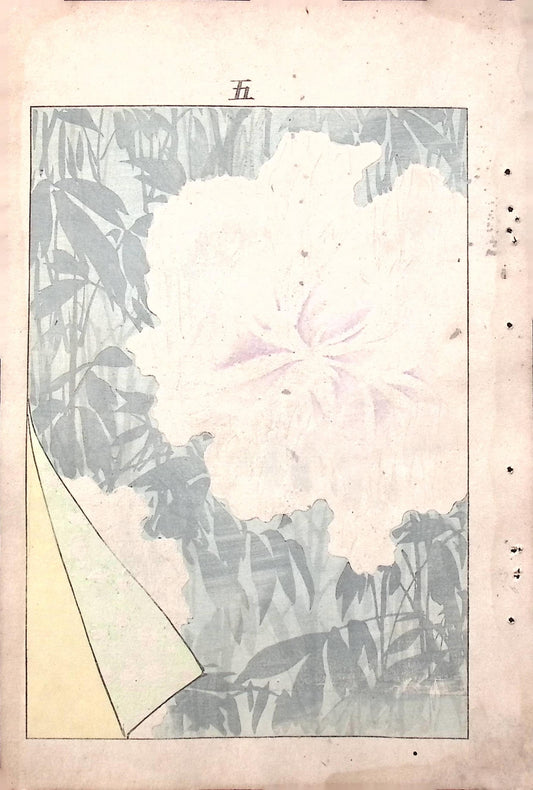 Japanese Antique Original Woodcut Print, Japanese design, Around 1900, Bijutsukai 6, Antique Japanese print, Kimono Design.