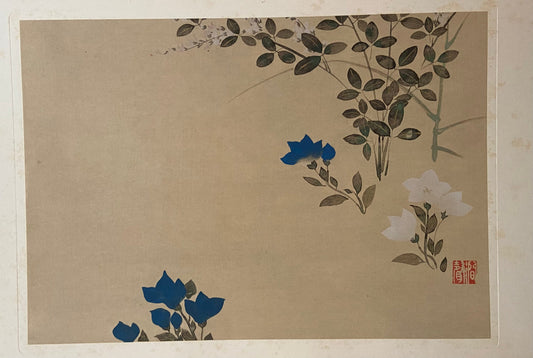 Japanese woodblock print, 1915, Ogata Korin, AN AUTUMNAL FOLIAGE