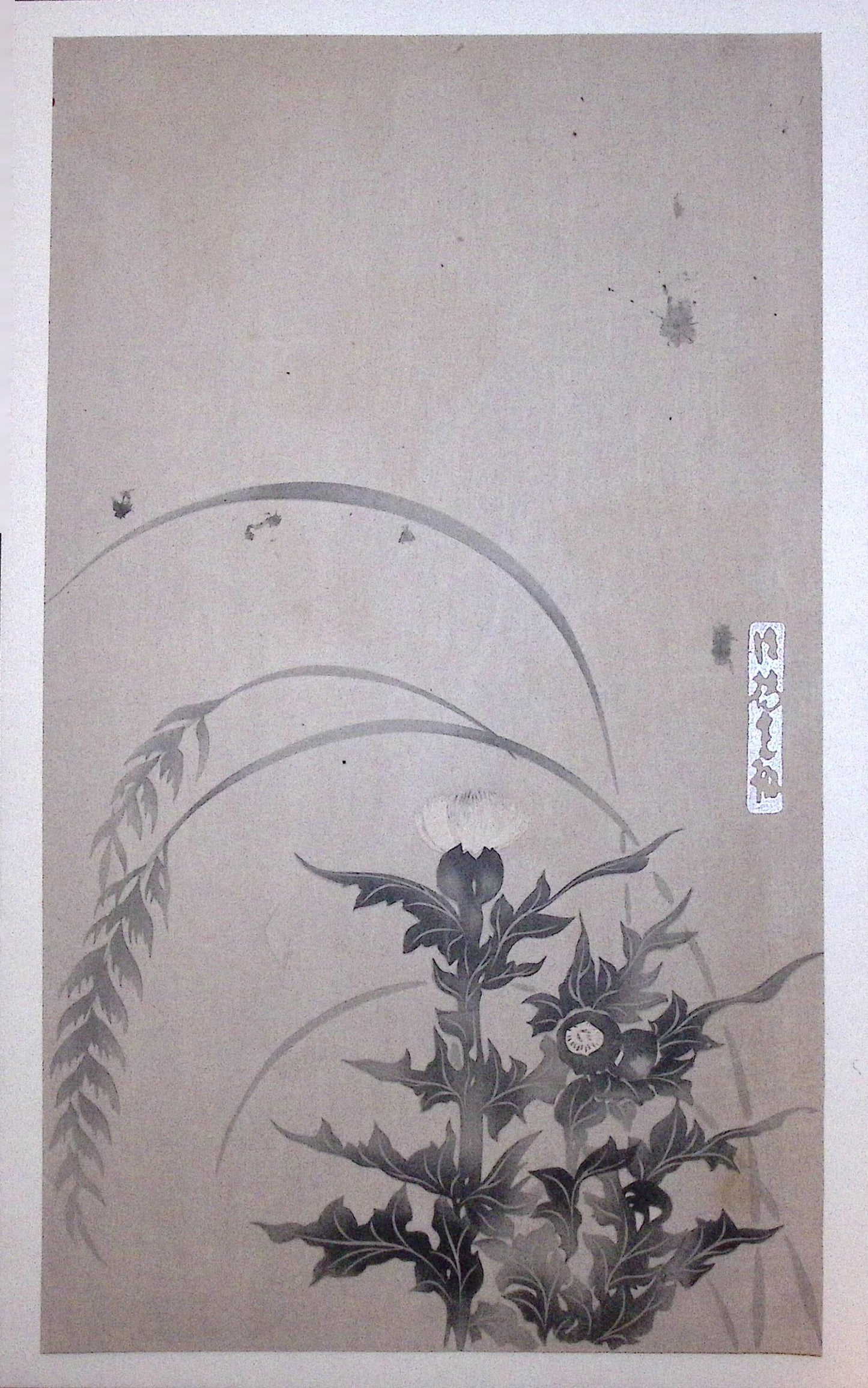 Japanese design, antique, woodcut print, Rimpa.