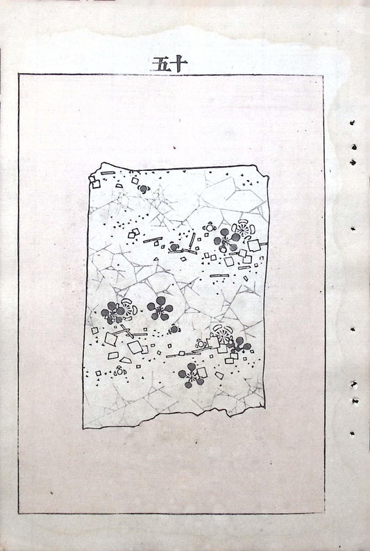 Japanese Antique Original Woodcut Print, c 1900, Bijutsukai 6, Sekka, Korin