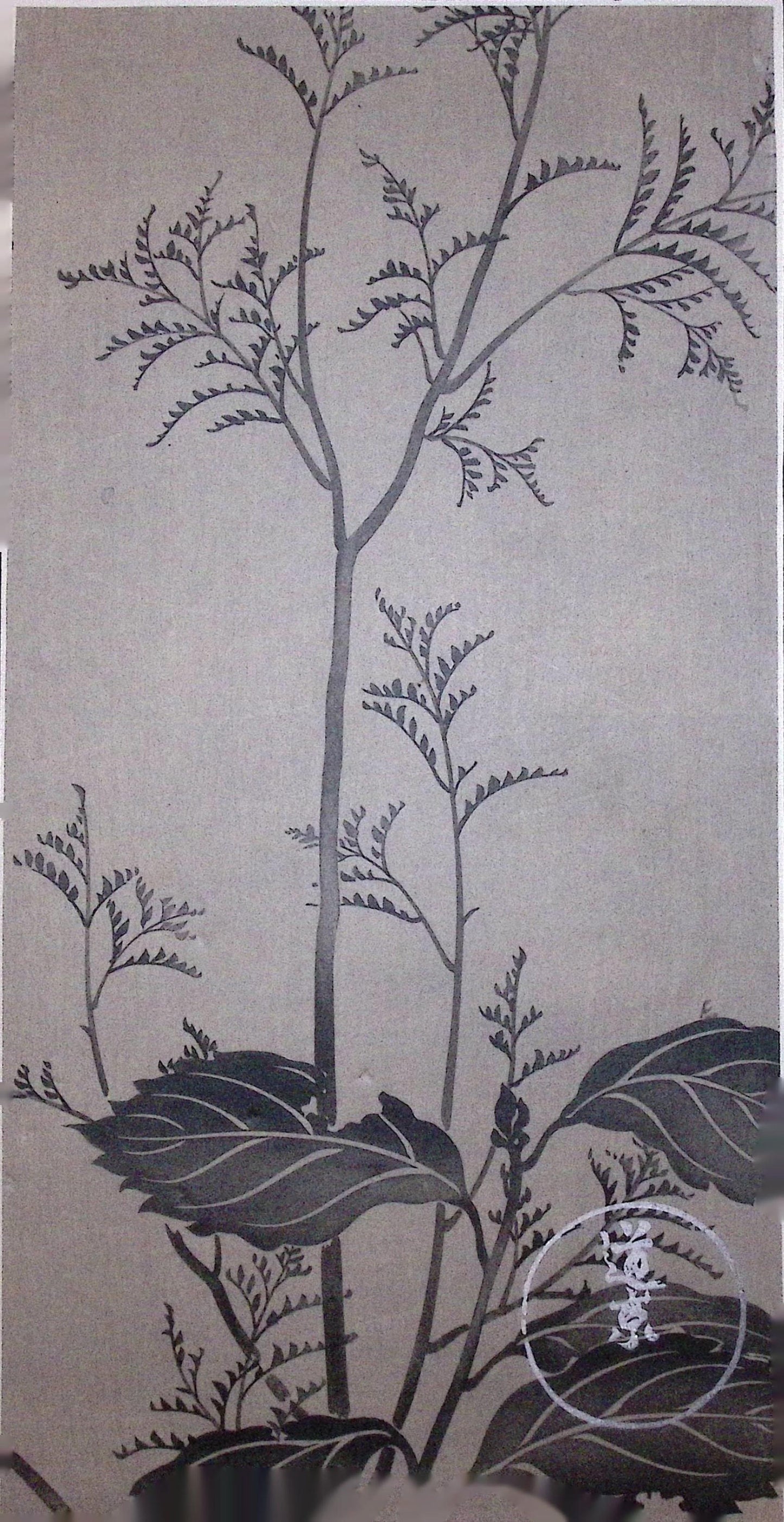 Japanese design, antique, woodcut print, Rimpa.