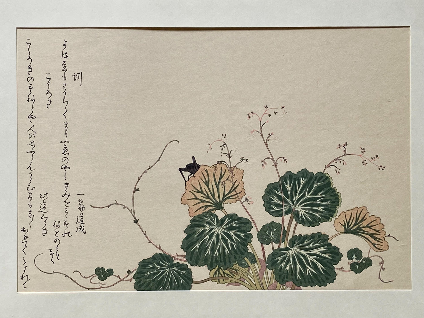 Japanese Ukiyoe, woodcut print, Utamaro, "Cricket (Kôrogi) and Earthworm (Mimizu)"