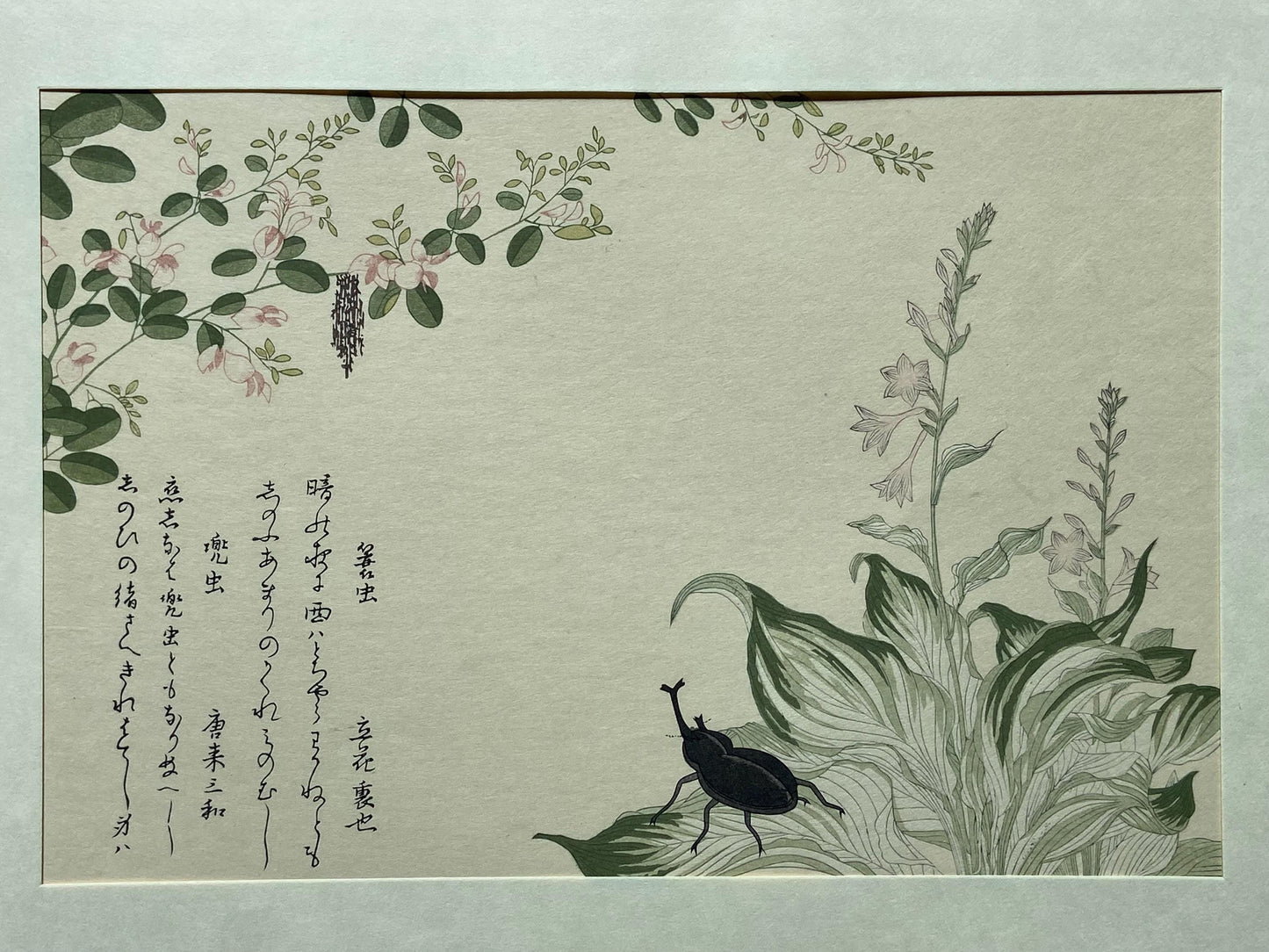 Japanese Ukiyoe, woodcut print, Utamaro, "Horned Scarab Beetle (Kabutomushi) and Bagworm (Minomushi)"