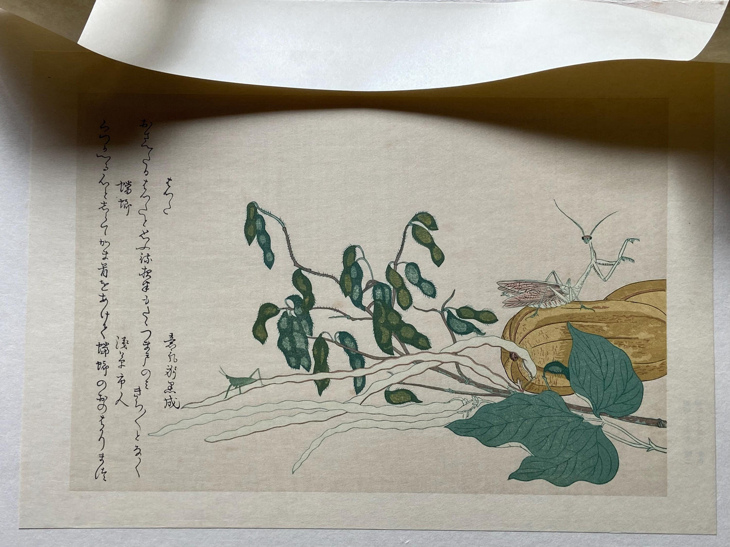 Japanese Ukiyo-e Woodblock print, Utamaro, "Praying Mantis (Tôrô/kamakiri) and Cone-headed Grasshopper (Batta)"