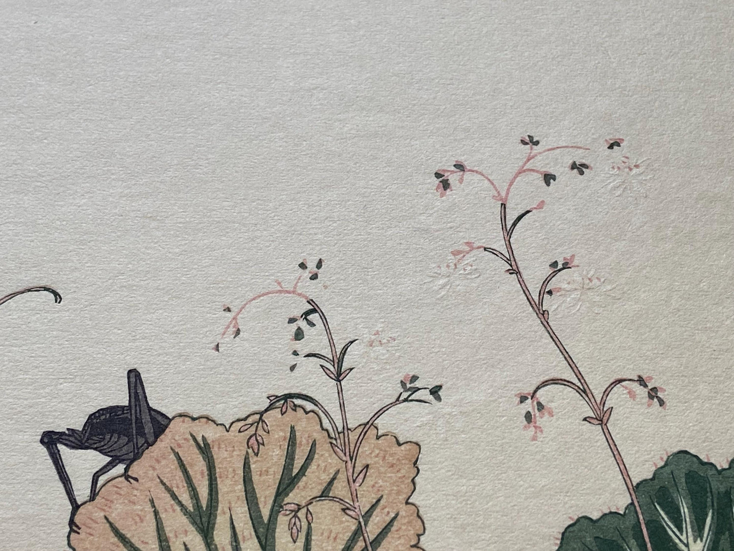 Japanese Ukiyoe, woodcut print, Utamaro, "Cricket (Kôrogi) and Earthworm (Mimizu)"