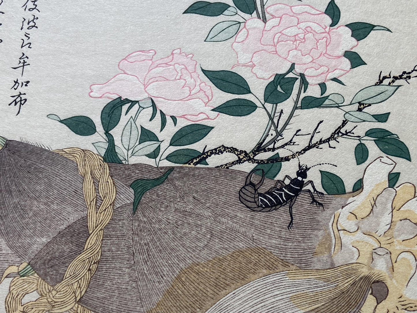 Japanese Ukiyoe, woodcut print, Utamaro, "Earwig (Hasamimushi) and Mole Cricket (Kera)"