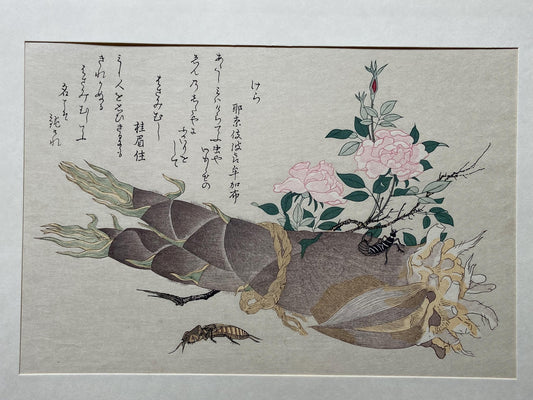Japanese Ukiyoe, woodcut print, Utamaro, "Earwig (Hasamimushi) and Mole Cricket (Kera)"