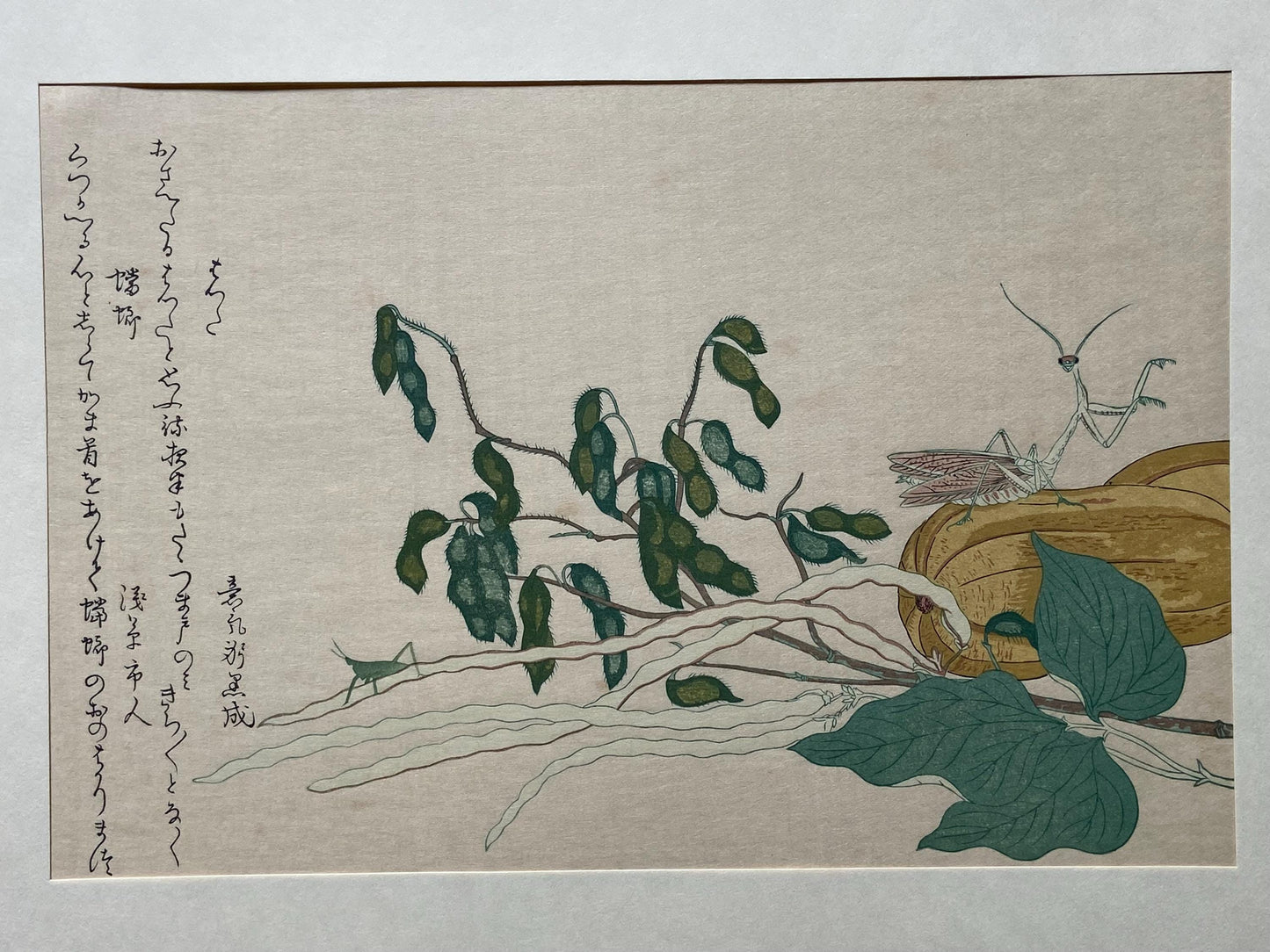Japanese Ukiyoe, woodcut print, Utamaro, "Praying Mantis (Tôrô/kamakiri) and Cone-headed Grasshopper (Batta)"